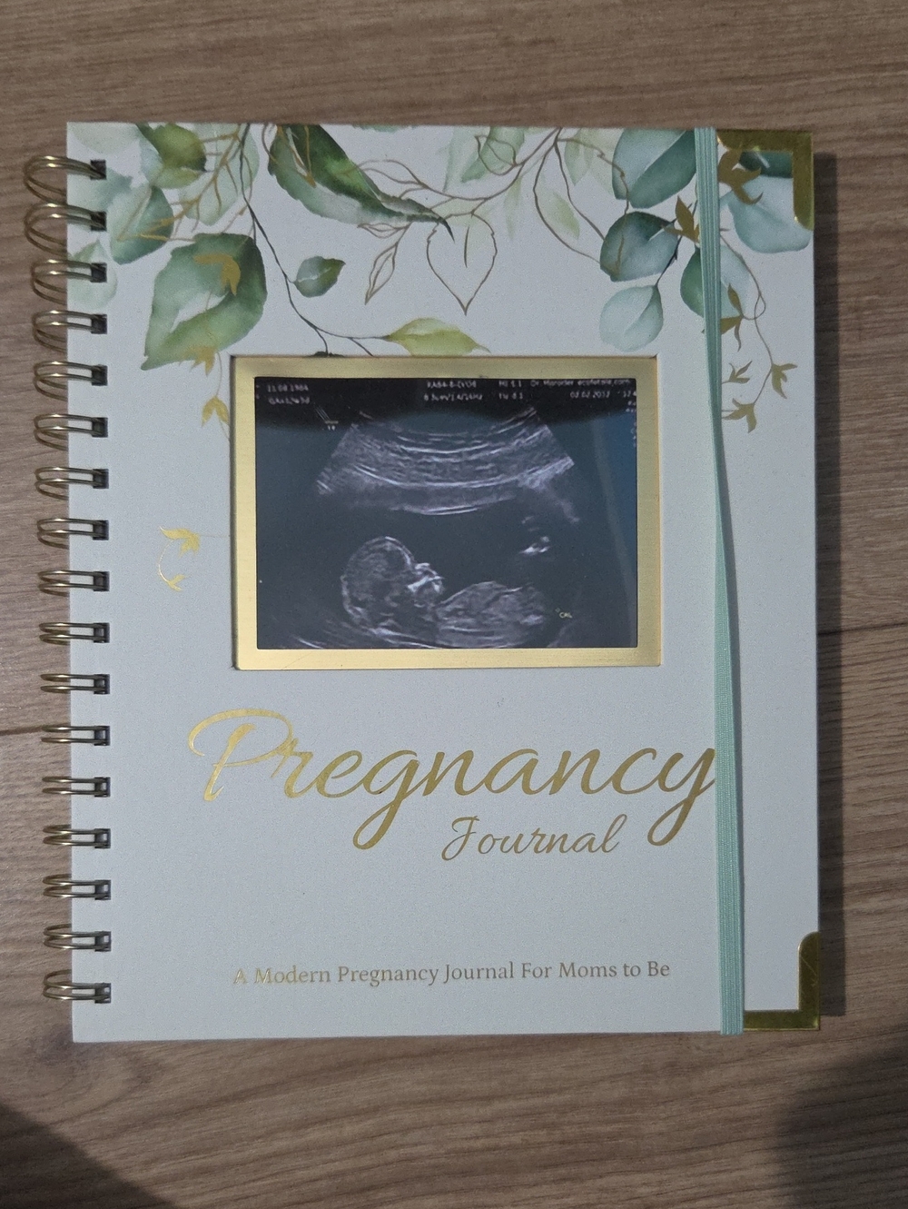 Pregnancy Journal